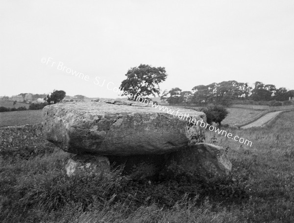 CROMLEACH NEAR RAILWAY STATION 